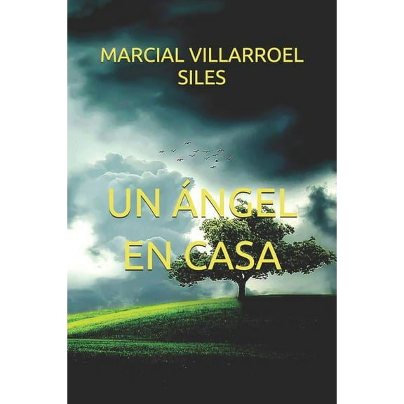 UN NGEL EN CASA Spanish Edition Paperback 1793821623 9781793821621 MARCIAL VILLARROEL SILES