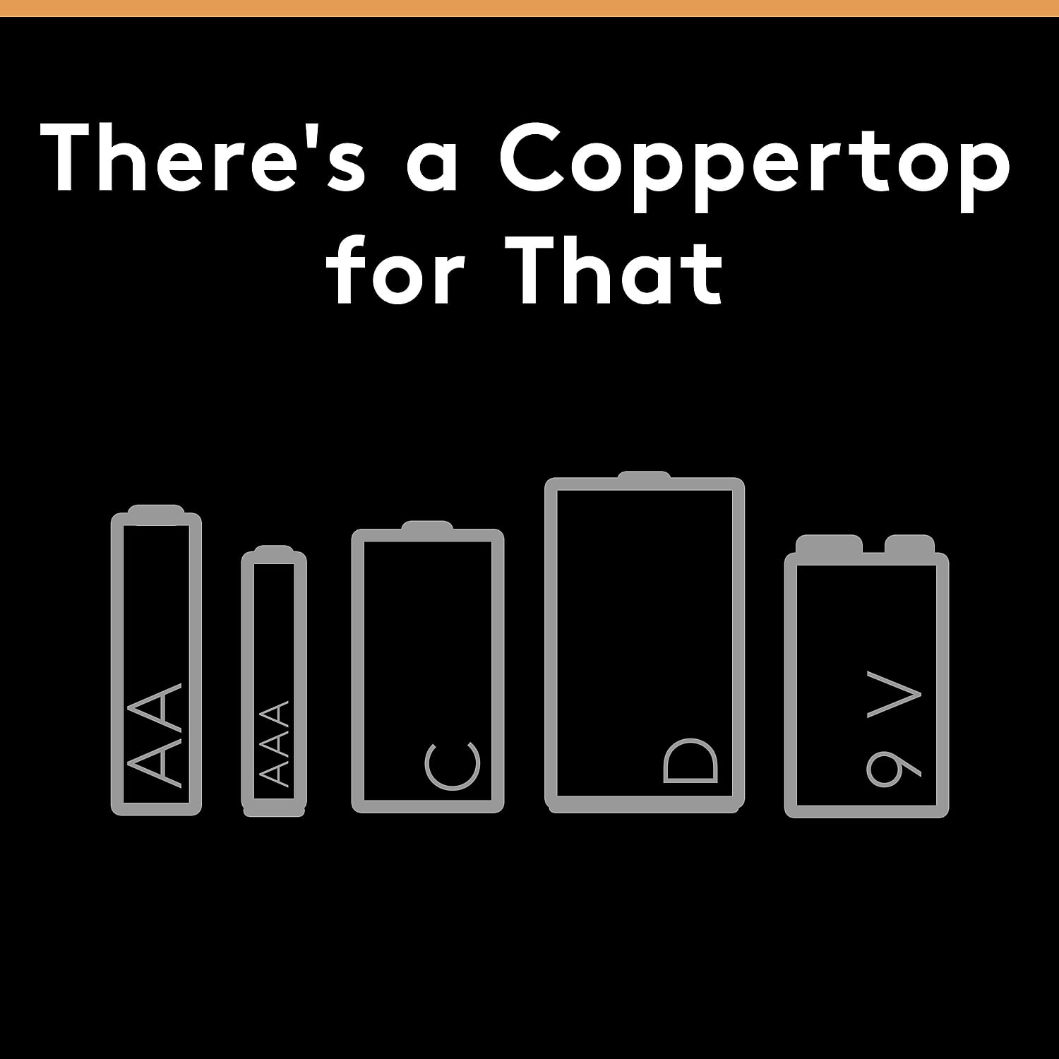 CopperTop Alkaline AAA Batteries (24/Carton)