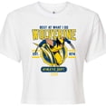 thumbnail image 3 of Marvel Wolverine - Collegiate Scratch - Juniors Cropped Graphic T-Shirt, 3 of 5