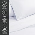 thumbnail image 6 of 1500-Thread Count 100% Egyptian Cotton Solid Pillowcases, 2-Piece Pillowcase Set by Blue Nile Mills- King, Ivory, 6 of 6