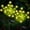 White, variant on Fohil Solar Garden Lights Outdoor, 2 Lighting Modes Solar Flower LED Lights Waterproof, 2 Pack