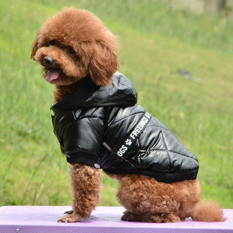 Target dog jacket deals