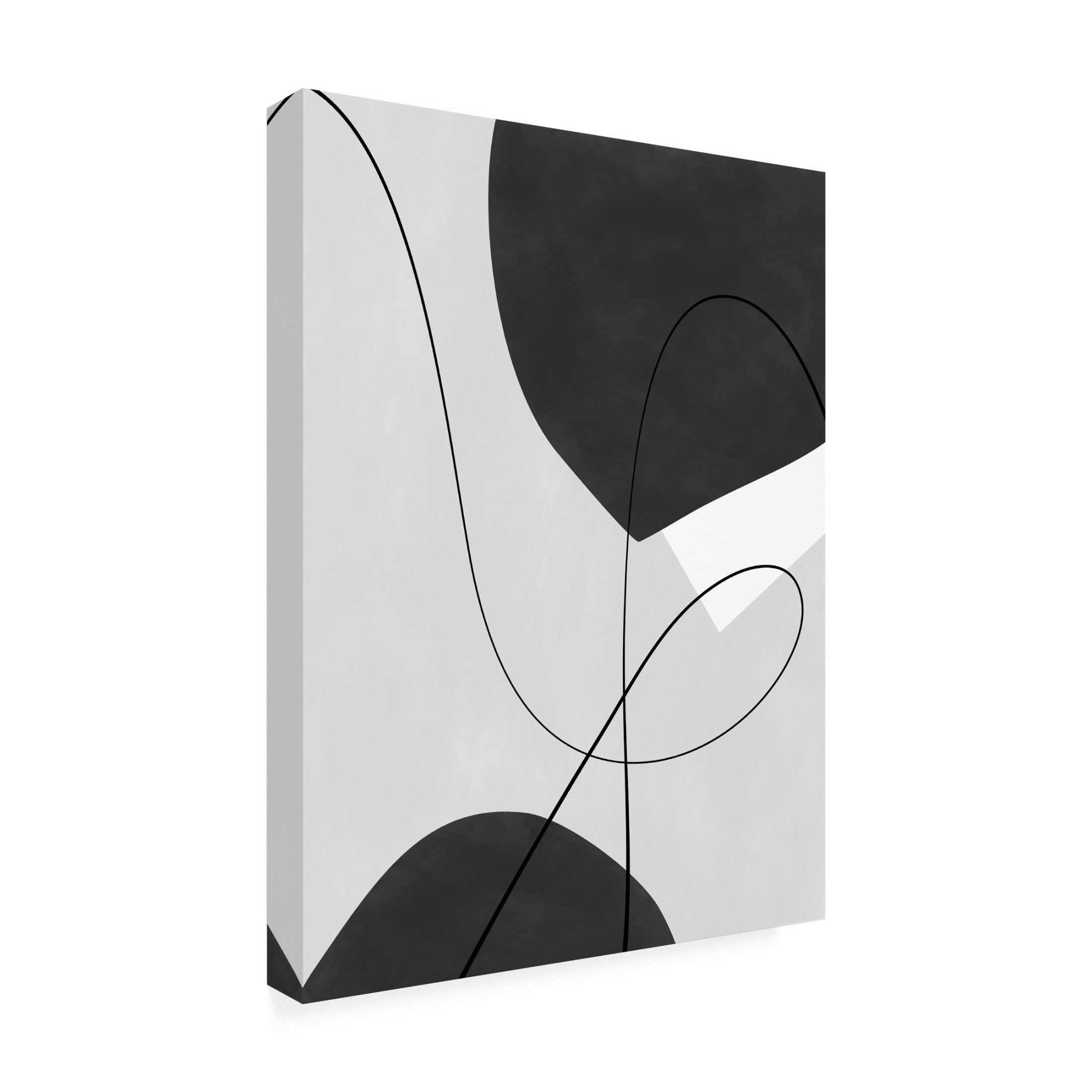 Trademark Fine Art Elena Ristova blackawhite40 Canvas Wall Art