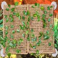 thumbnail image 2 of Penn Plax Natural Lizard Lounger With Vines, 2 of 4