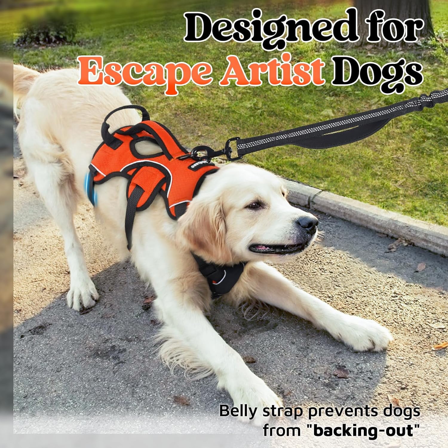 rabbitgoo Escape Proof Dog Harness, Soft Padded Full Body Pet Harness, Reflective Adjustable No Pull Vest with Lift Handle and Lesh Clip for Large Dogs Walking Hiking Training, Orange