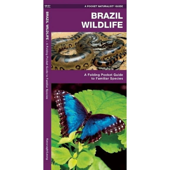 Wildlife and Nature Identification: Brazil Wildlife : A Folding Pocket Guide to Familiar Animals (Other)