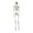 D, variant on Antqov Skeletons Halloween Decorations, Whole Body Posable Skeleton Hanging Skeletons with Movable Joints for Indoor Outdoor Halloween Skeletons Decor Yard Patio Lawns Garden Party Decoration