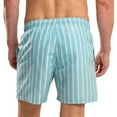 thumbnail image 2 of RIPT Essentials Mens Stripe Swim Shorts, 2 of 4