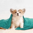 thumbnail image 4 of Disketp Teal Turquoise1 Dog Blanket/Bed Cover for Dogs and Cats,Puppy Essentials-Large, 4 of 8
