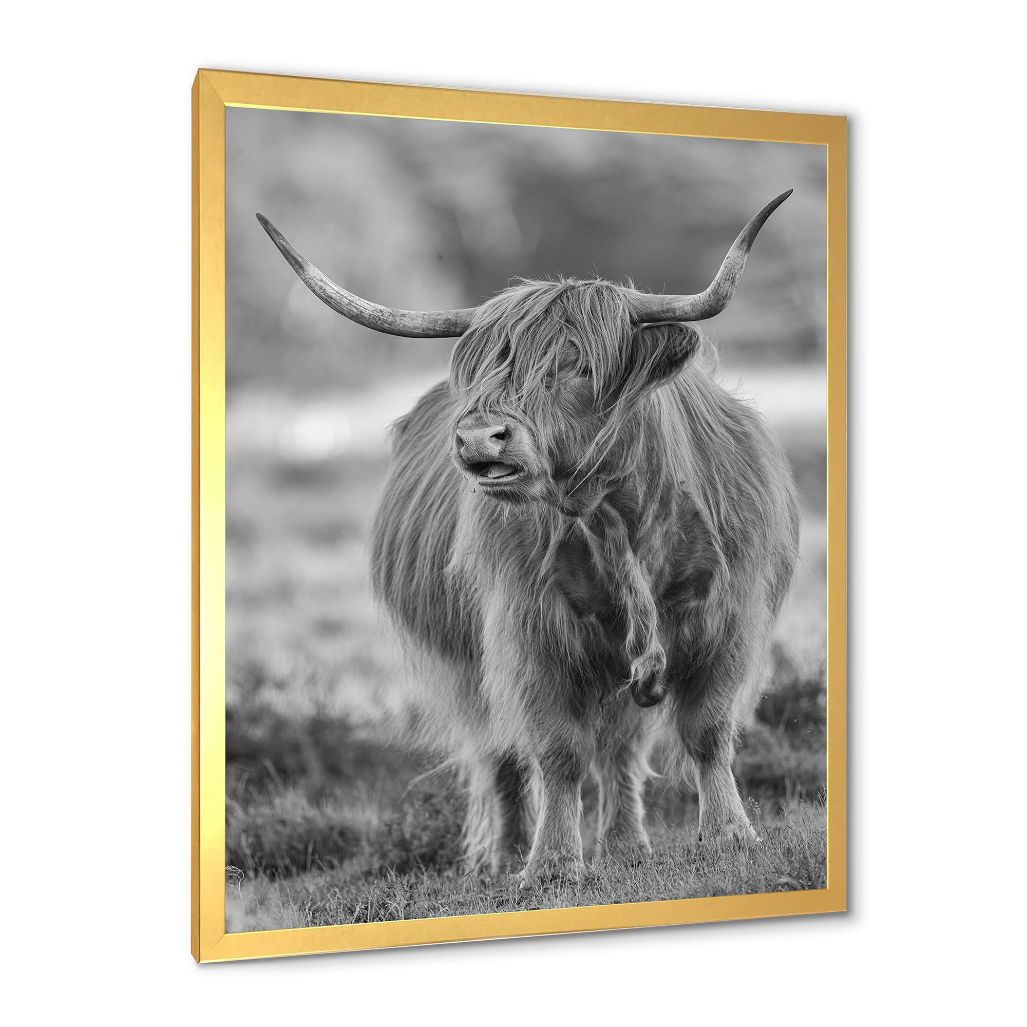 Designart 'Close Up View of Monochrome Bull' Farmhouse Framed Art Print
