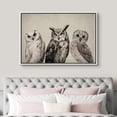 thumbnail image 3 of PixonSign Framed Canvas Print Wall Art Duotone Owl Portraits Vintage Antique Farmhouse Decor Nature Animals Modern Art Realism Cozy Decorative Colorful Multicolor - 24"x36" White, 3 of 5