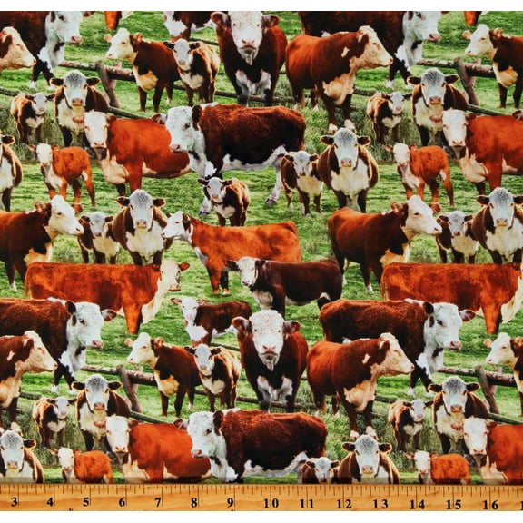 Cotton Hereford Cows in a Corral Farm Animals Multicolor Cotton Fabric Print by the Yard (WEST-CD3341-MULTI)