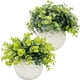 thumbnail image 1 of Planta artificial pequeña, plantas artificiales como las reales en maceta, plantas decorativas para baño, plantas decorativas en maceta, plantas artificiales decorativas, 1 of 4