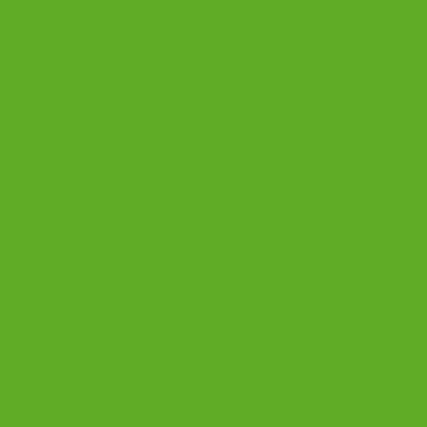 Vibrant Life 4' Nylon Metal Standard Dog Leash, Neon Green, Medium
