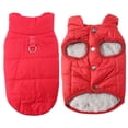 thumbnail image 1 of SIfdSeng Veste Gilet Petits Manteaux pour l'Hiver Temps Froid Veste Chaude Manteau Chiot Vestes Rouges Manteaux Chat, 1 of 7