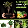 thumbnail image 4 of Yegbong Soil Activator 100G, Enhances Soil Structure & Nutrient Retention, Perfect For Garden Plants Flowers Vegetables Houseplants & Outdoor Soil Improvement, 4 of 5