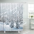 thumbnail image 1 of ABPHQTO Azul hermoso invierno bosque paisaje belleza rama color frío día cortina de ducha 160x180 cm, 1 of 1