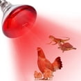 thumbnail image 2 of 2Pieces Heat Bulbs for Piglets Livestock and Reptiles Enclosures, 2 of 17