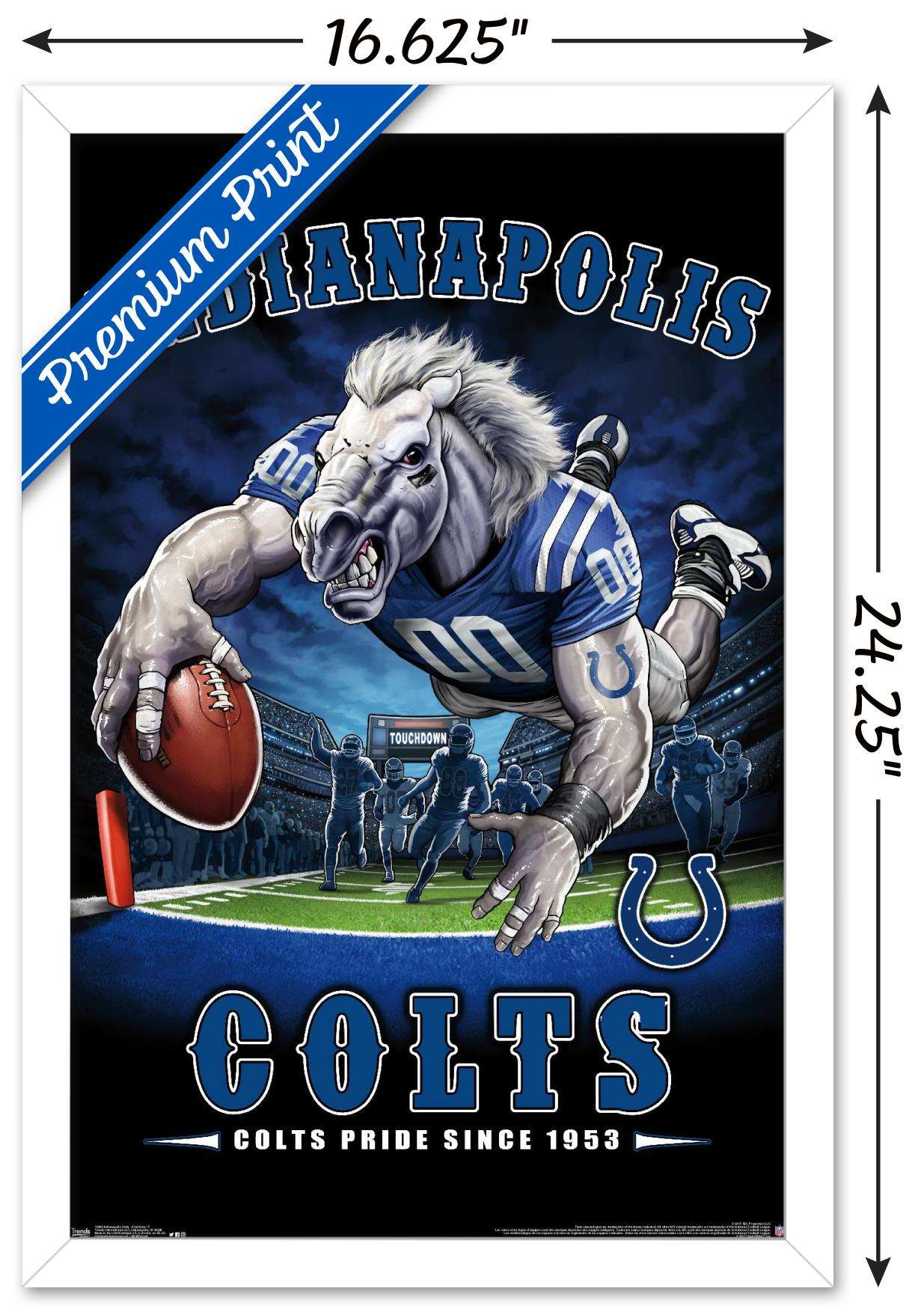 NFL Indianapolis Colts - End Zone 17 Wall Poster, 14.725" x 22.375", Framed