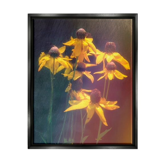 Stupell Industries Black-Eyed Susan Photography Botanical & Floral Photography Black Floater Framed Canvas Art Print Wall Art, 17 x 21