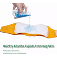 thumbnail image 3 of Pañales Reutilizables Lavables Para Perros, Paquete De 3 Pzs Talla M, Colores, 3 of 5