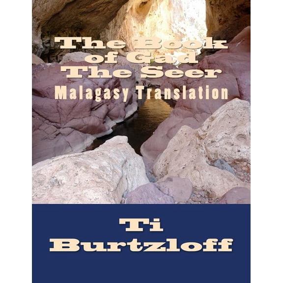 The Book of Gad the Seer (Paperback)