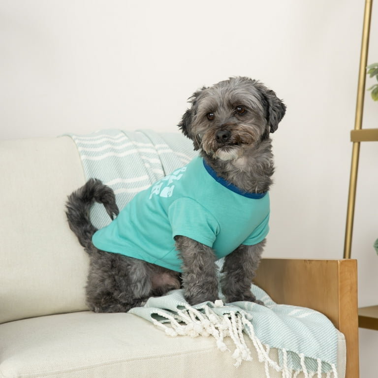 cheap dog clothes for extra small dogs Fabricastle Dog Sweater, 3-Pack Dog Clothes, Ultra Soft And Warm Pet J –  Petocart main image 1