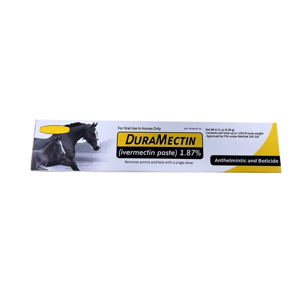 Dewormer/Paste Paste for Horses – 1.87% Equine Dewormer-6.08g (1 Pack)