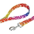 thumbnail image 5 of Country Brook Petz® Premium Trippy Doggo Dog Collar and Leash, Extra Large, 5 of 5