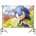 thumbnail image 3 of Fondo fotográfico personalizado con nombre y años de Sonic the Hedgehog, decoración para fiesta de cumpleaños, vinilo, tela de poliéster, pancarta de tela, 3 of 5