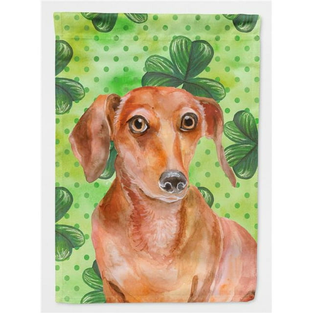 Carolines Treasures BB9881CHF Drapeau Rouge Dachshund Saint Patricks en Toile - Taille Maison