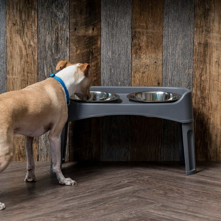 Plastic elevated dog bowls discount