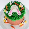 Sweetology Easter Bunny Cake Decorating Kit