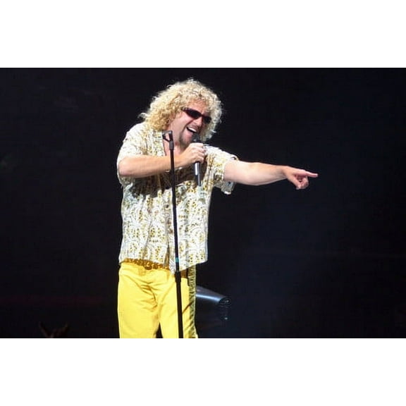 Van Halen 24x36 Poster David Lee Roth in concert