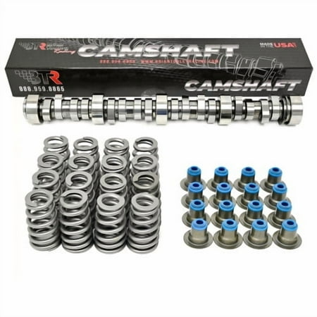 Brian Tooley Racing BTR Stage 2 Truck Camshaft Springs Vortec Truck Cam 3 Bolt Cam Beehive Springs Michigan Motorsports Seals 4.8 5.3 6.0 (Camshaft and Spring Set)