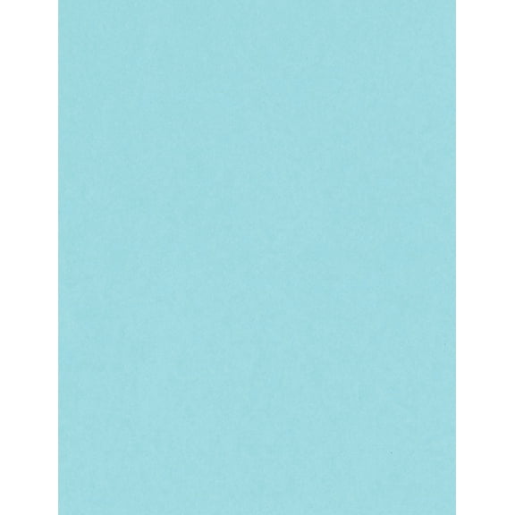 Bazzill Card Shoppe Heavyweight Cardstock 8.5"X11"-Robin's Egg