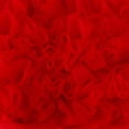 thumbnail image 5 of Splozh Bloomers for Baby Girls Baby Underwear Cute Cotton Baby Girls Bloomers Ruffled Briefs for Toddler Girls Red,0-6 Months, 5 of 6