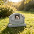 thumbnail image 4 of Dog Memorial Gift for Loss of Dog, Peaceful Sleeping Solar Angel Dog Statue Outdoor Waterproof, Resin Dog Figurine Pet Memorial Stone for Garden Grave Markers, Loss of Pet Sympathy Gift (Cat), 4 of 5