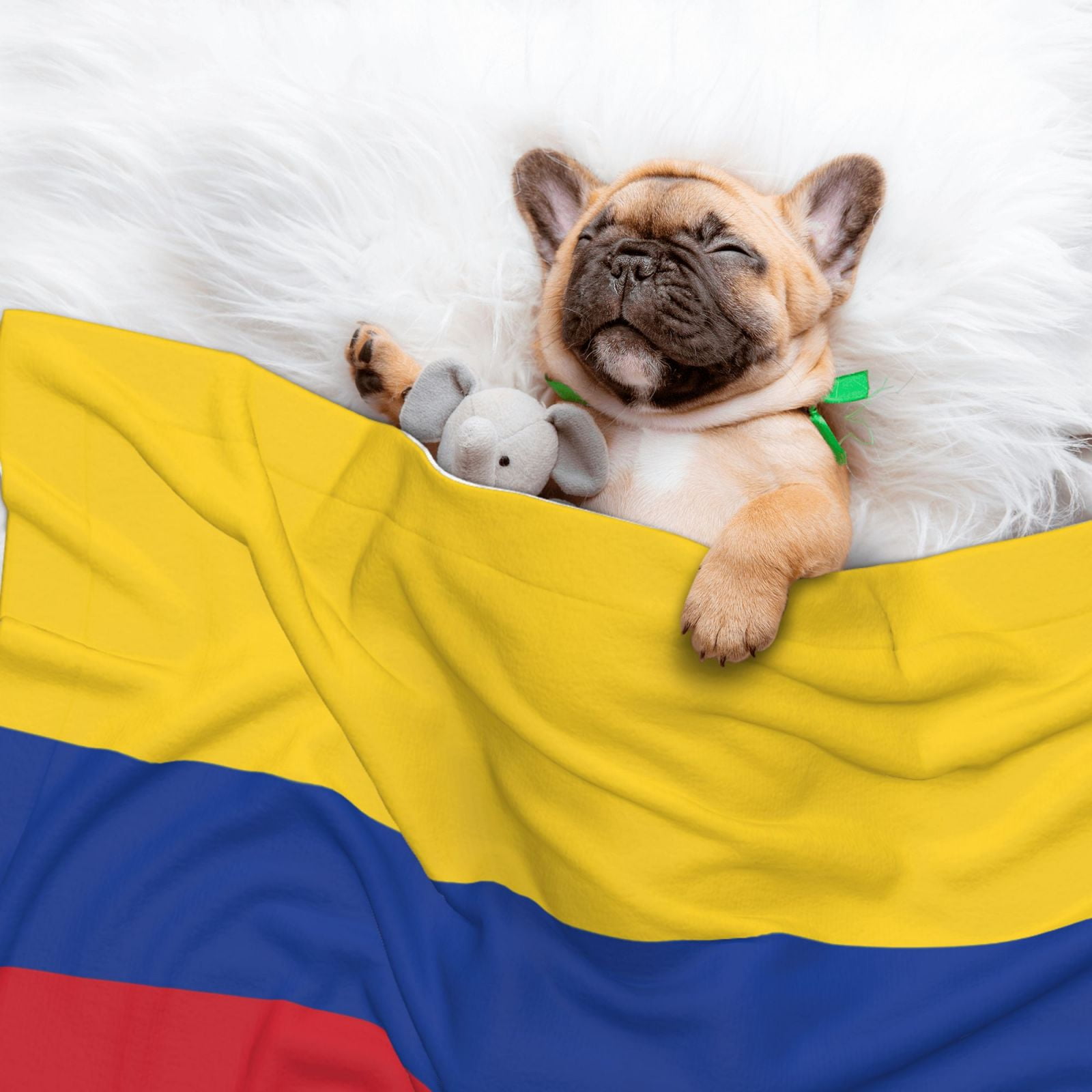 Flannel Throw Dog Blanket Colombia Flag Soft Warm Print Pet Blankets for Small Dog Cat Puppy