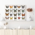 thumbnail image 2 of Hilo Algodón Ecológico Bordado Parcial Punto Cruz Mariposa 14 Quilates 56x44cm, 2 of 9