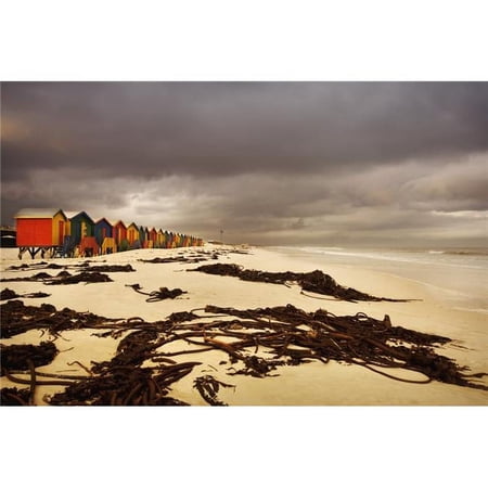 Changing Huts Along The Beach Cape Town South Africa Poster Print by Kristy-Anne Glubish, 34 x 22 - Large