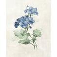 thumbnail image 2 of Robinson, Carol 20x24 White Modern Wood Framed Museum Art Print Titled - Farmhouse Periwinkle I, 2 of 4
