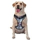 thumbnail image 1 of Fotbe Purple Marble Texture Arnés para Perro con Estampado –Chaleco Ajustable Acolchado con Asa de Control para Perros Grandes-Large, 1 of 6