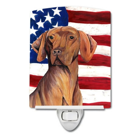 

Caroline s Treasures SC9022CNL Flag with Vizsla Ceramic Night Light 6x4x3 multicolor