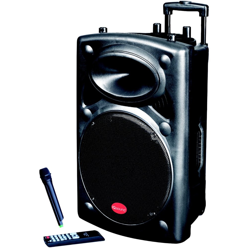 12" Portable Bluetooth DJ Speaker