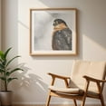 thumbnail image 6 of Coooper's Hawk In A Snowstorm - Photography Bird Wildlife Animal Nature Winter Snow Portrait Unframed Wall Art Print 10 x 10 inches, 6 of 9