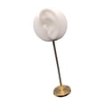 thumbnail image 2 of KLKCMS Ear Model Earring Display Stand 7.09''h Ear Shaped Teaching Tool Earring Display White Left, 2 of 9