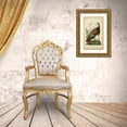 thumbnail image 3 of Audubon, John James 21x32 Gold Ornate Wood Framed with Double Matting Museum Art Print Titled - Audubon Wild Turkey, 3 of 4