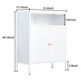 2 Door Metal Storage Accent for Bed Room,Living Room,Home,Hotel