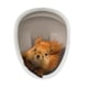 thumbnail image 4 of para tapa de asiento de inodoro, diseño de ardilla, decoración del hogar, regalo divertido, para tapa de asiento de inodoro, adhesiv, 4 of 9